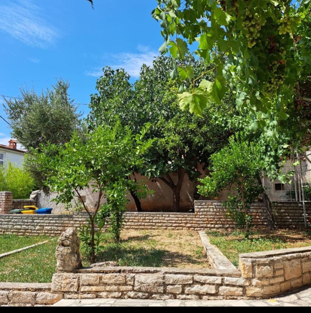 Villa Giulia Ližnjan Εξωτερικό φωτογραφία