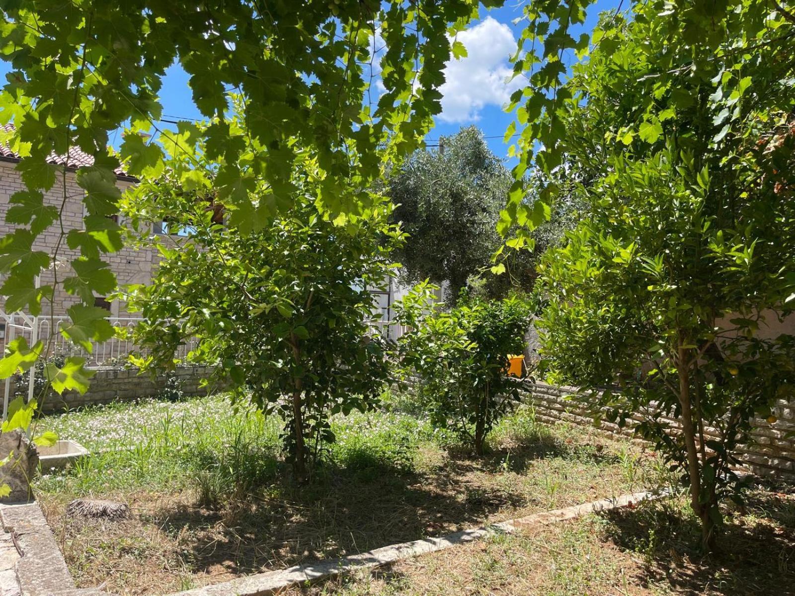 Villa Giulia Ližnjan Εξωτερικό φωτογραφία