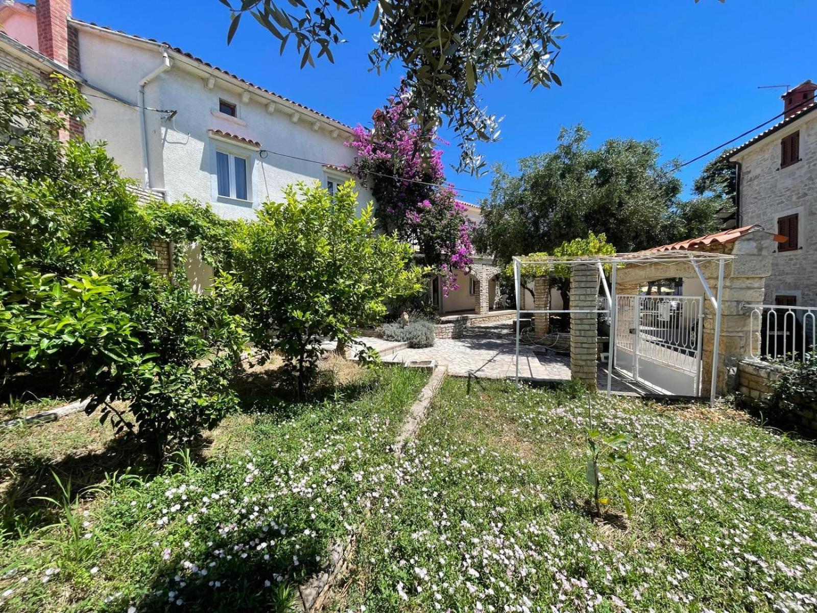 Villa Giulia Ližnjan Εξωτερικό φωτογραφία